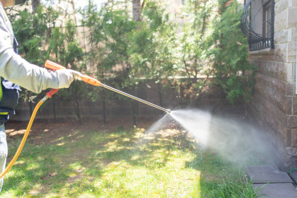 Best Pest Prevention Services  in Woodmoor, CO